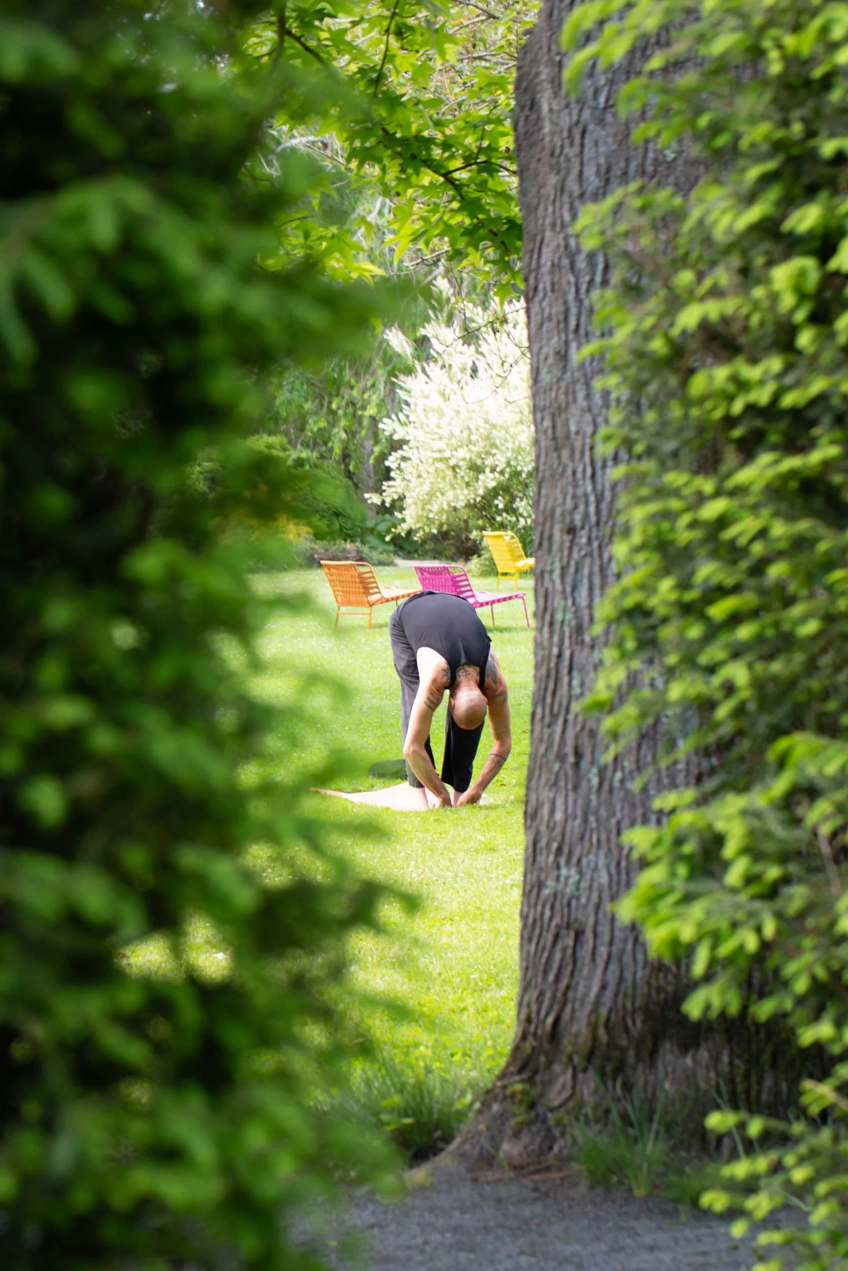 R_Lara-Vukson-Photo_2025_6_01-Long-House-Reserve_yoga-2261_SQSP_2500px.jpg