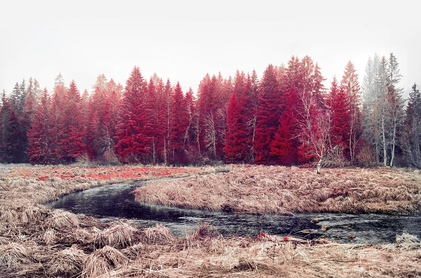 Chalet du Carre, Waadt, 2024. 
.
.
#infrared #infraredphotography #modernisingnature