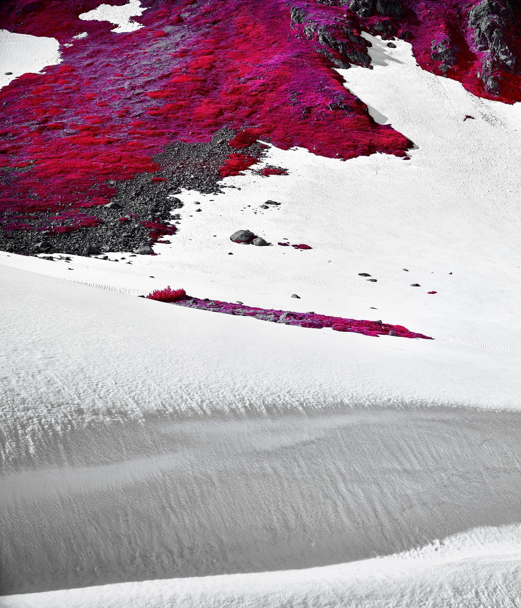 Albula Pass, reimagined through infrared.

#infraredphotography  #infraredfilm #modersisingnature #Grisons