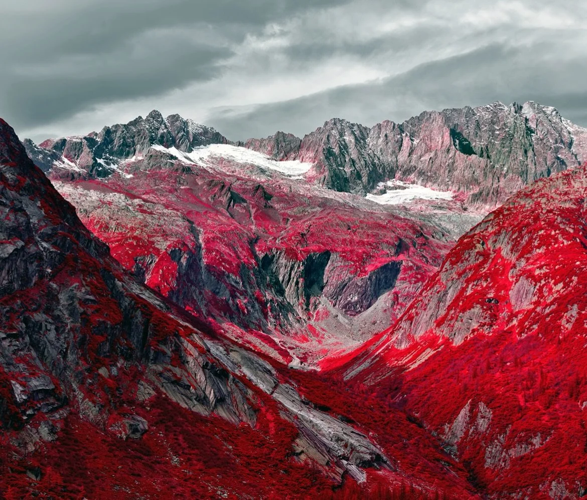 Getting ready for the year ahead.

Last year was one to remember. One of the highlights was the launch of my new book Modernising Nature.

A central motive behind the book is the need for a new way of looking at nature in the 21st century. Much like 