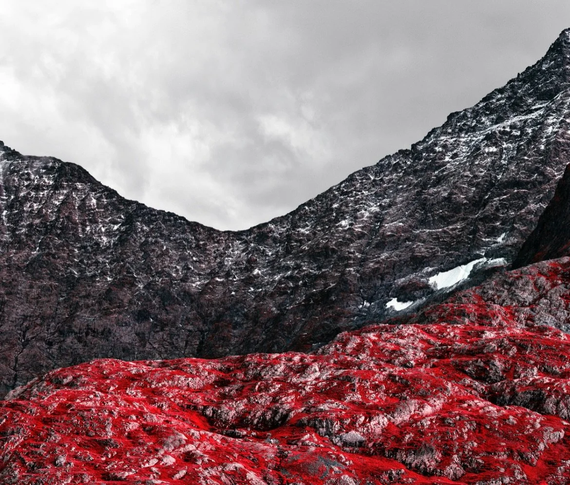 &lsquo;Nature Signatures, opens this Thursday at @luisacatucci_gallery. 

This exhibition is something truly special. A single, cohesive experience unfolding through three solo exhibitions, each offering a distinct yet interconnected response to natu