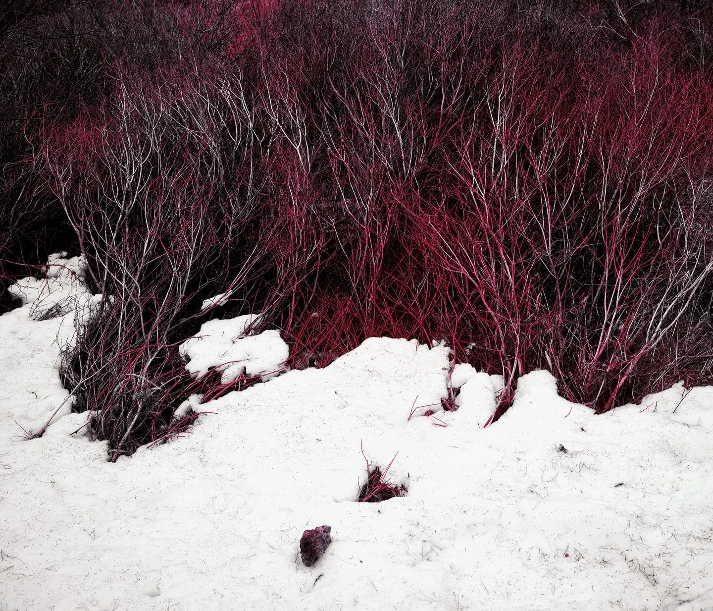 Last traces of winter&hellip; 

#springphotography #switzerland #infraredphotography #landscapephotograper