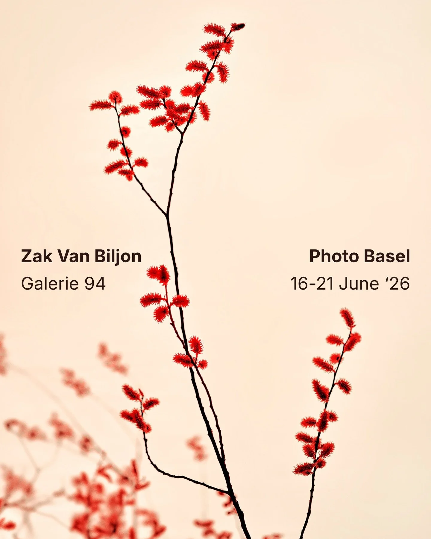 Excited to announce my participation in a panel discussion with @galerie94 at @photobasel on 20 June at 2pm, alongside @loredana_nemes and @susa.templin ! 💫

#photobasel #paneldiscussion #artisttalk