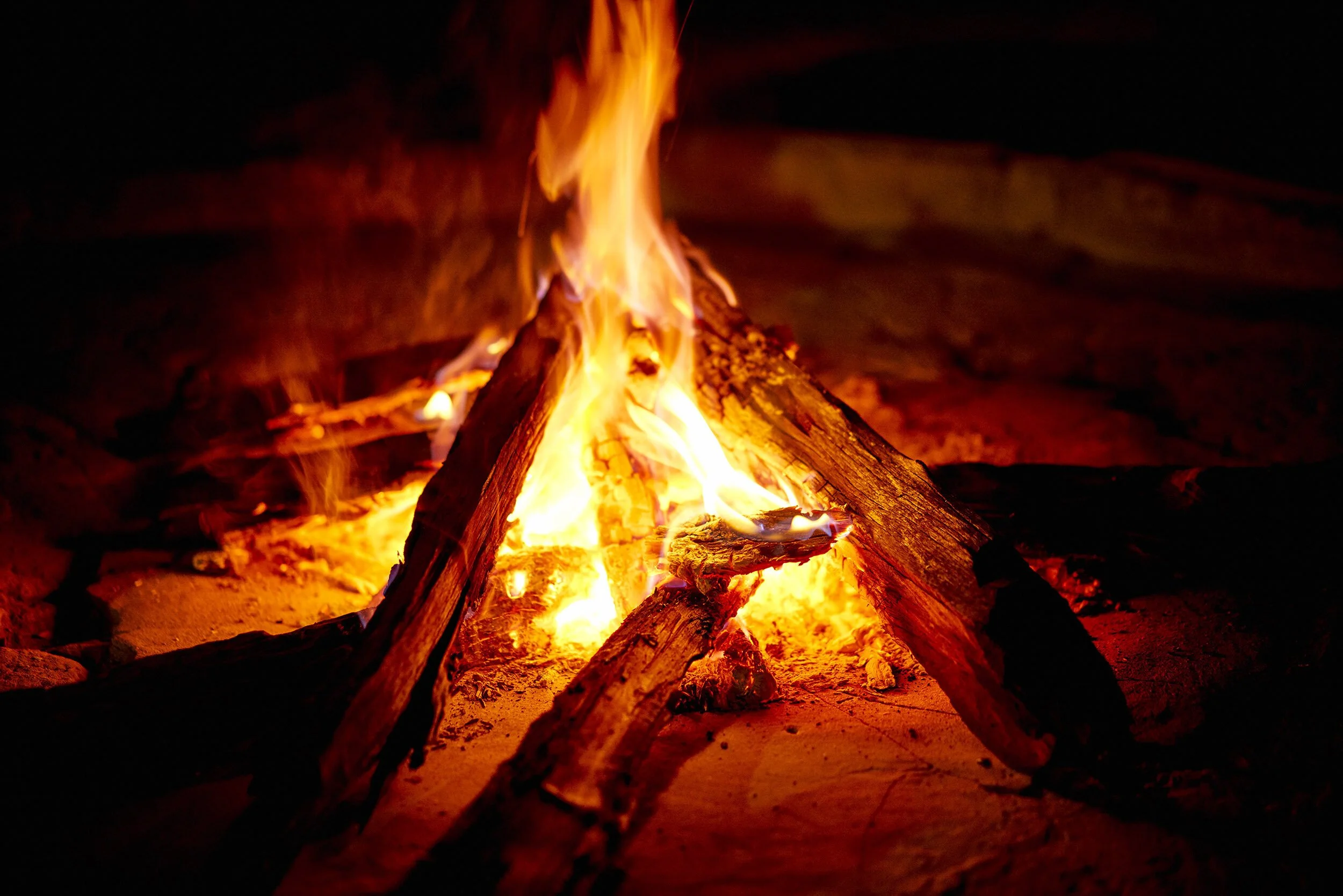 zakvanbiljon_Arugamelodge01.jpg