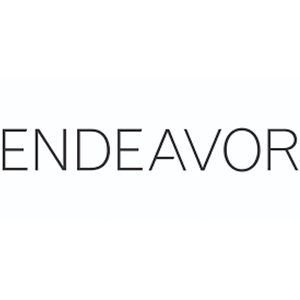 endeavor_logo (1).png