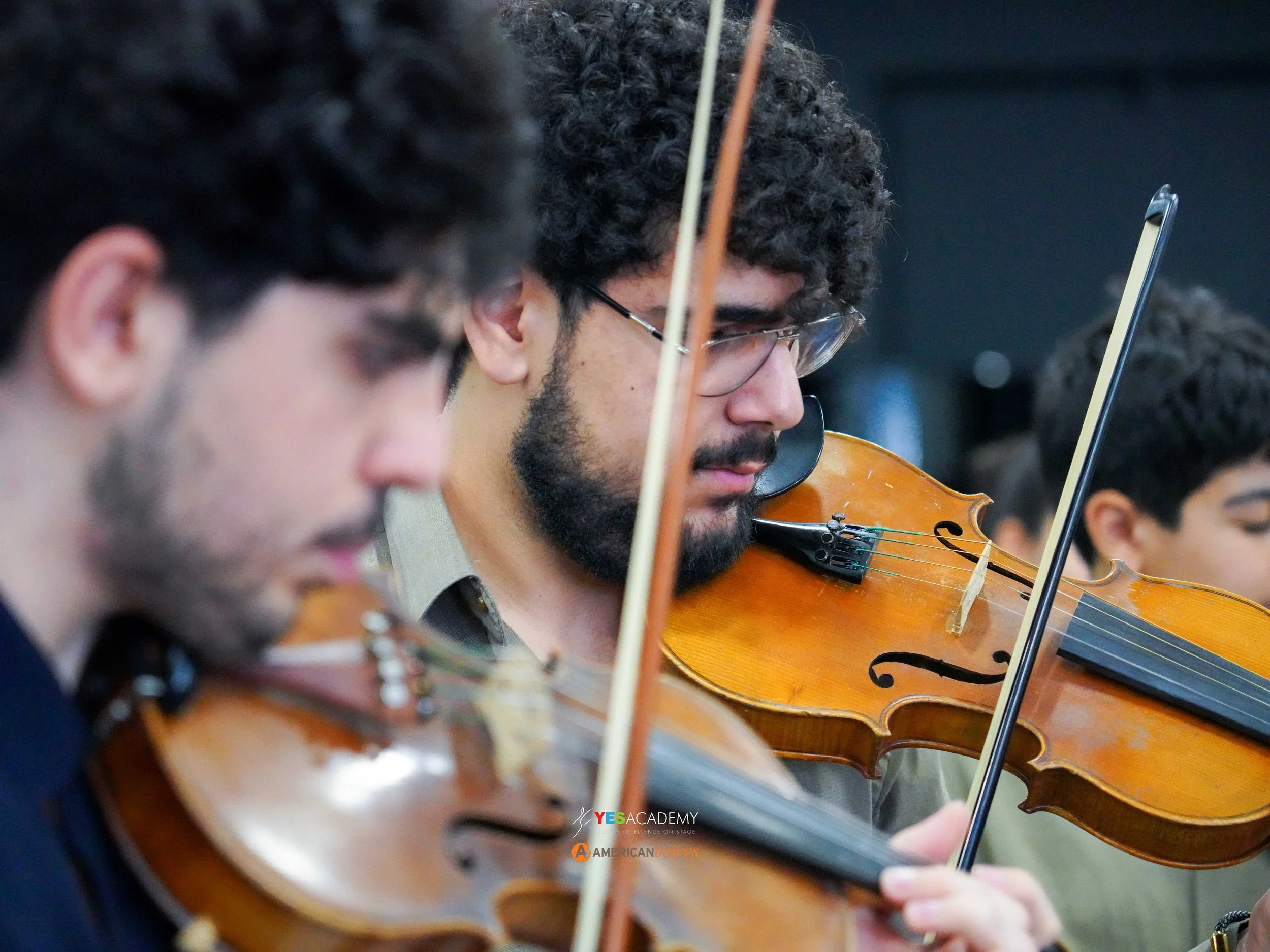 Violins Close-up.jpg