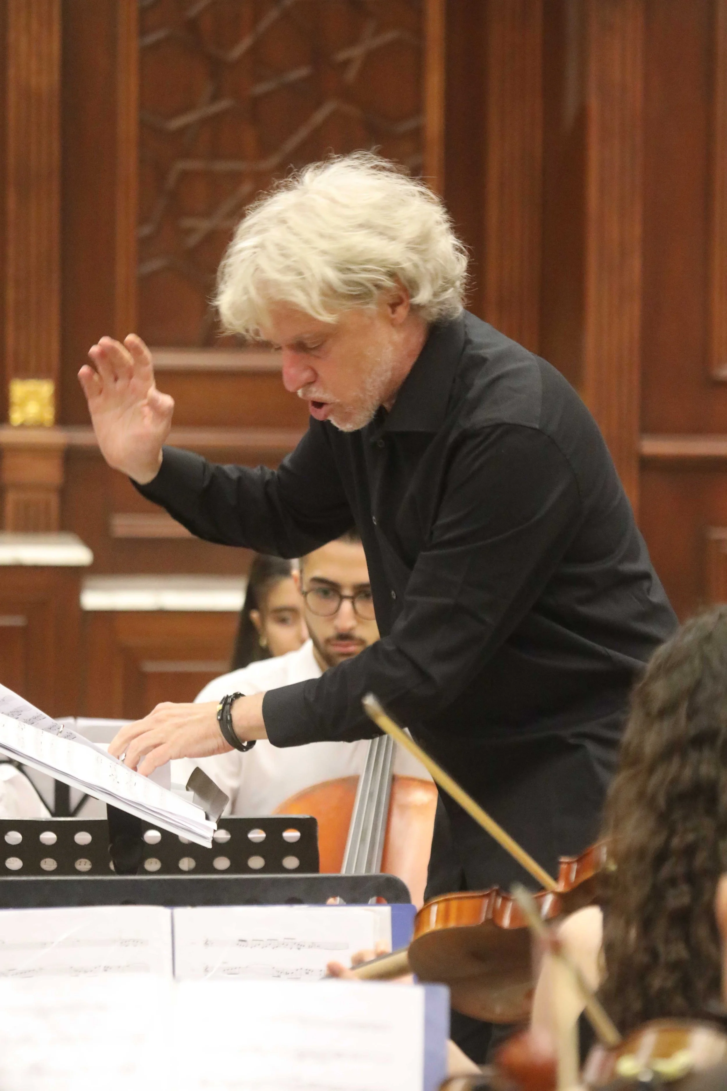 Orchestra finale Close-up YES SY.jpg