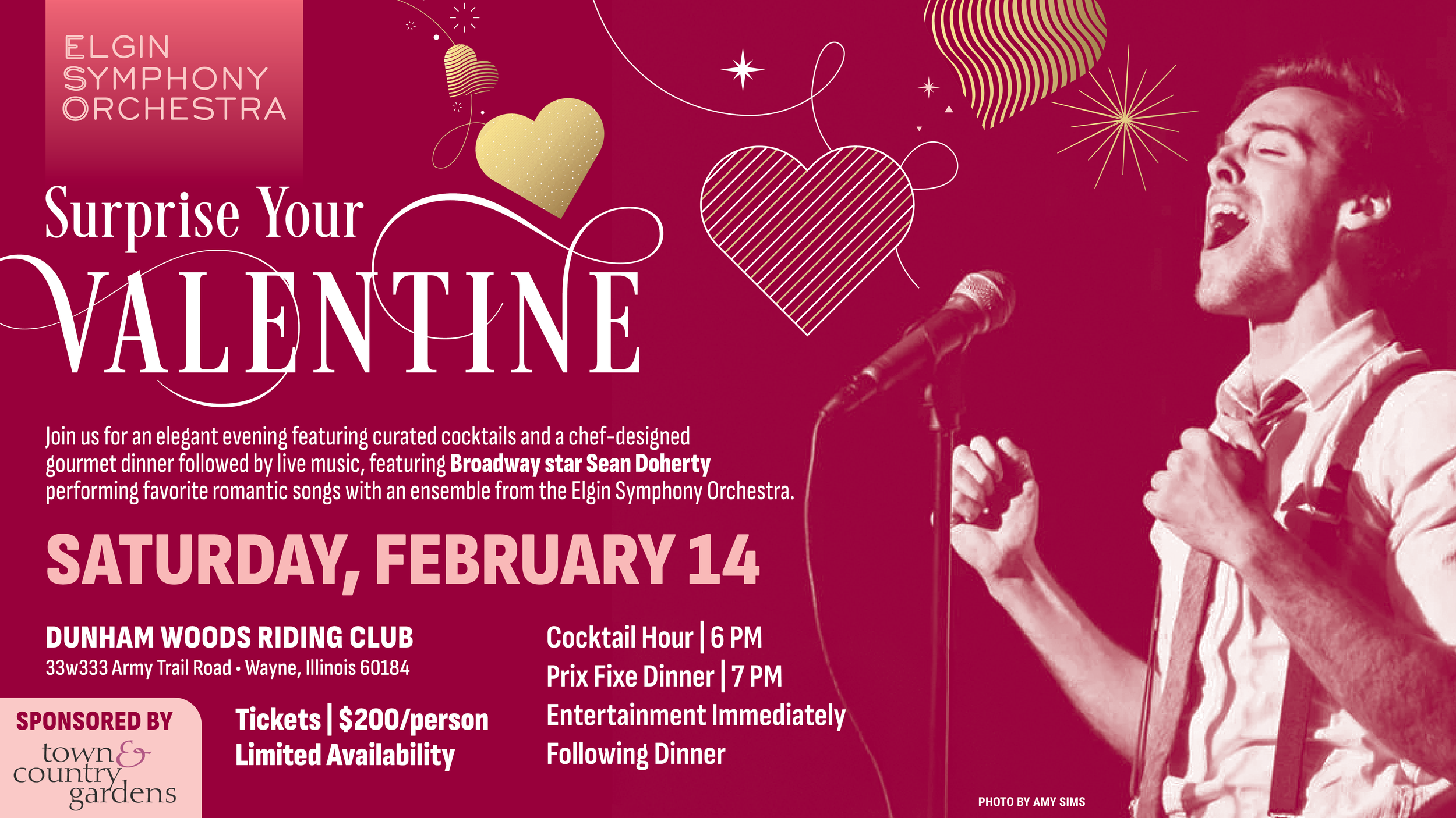 ESO Web Graphic - Valentine's Day.png