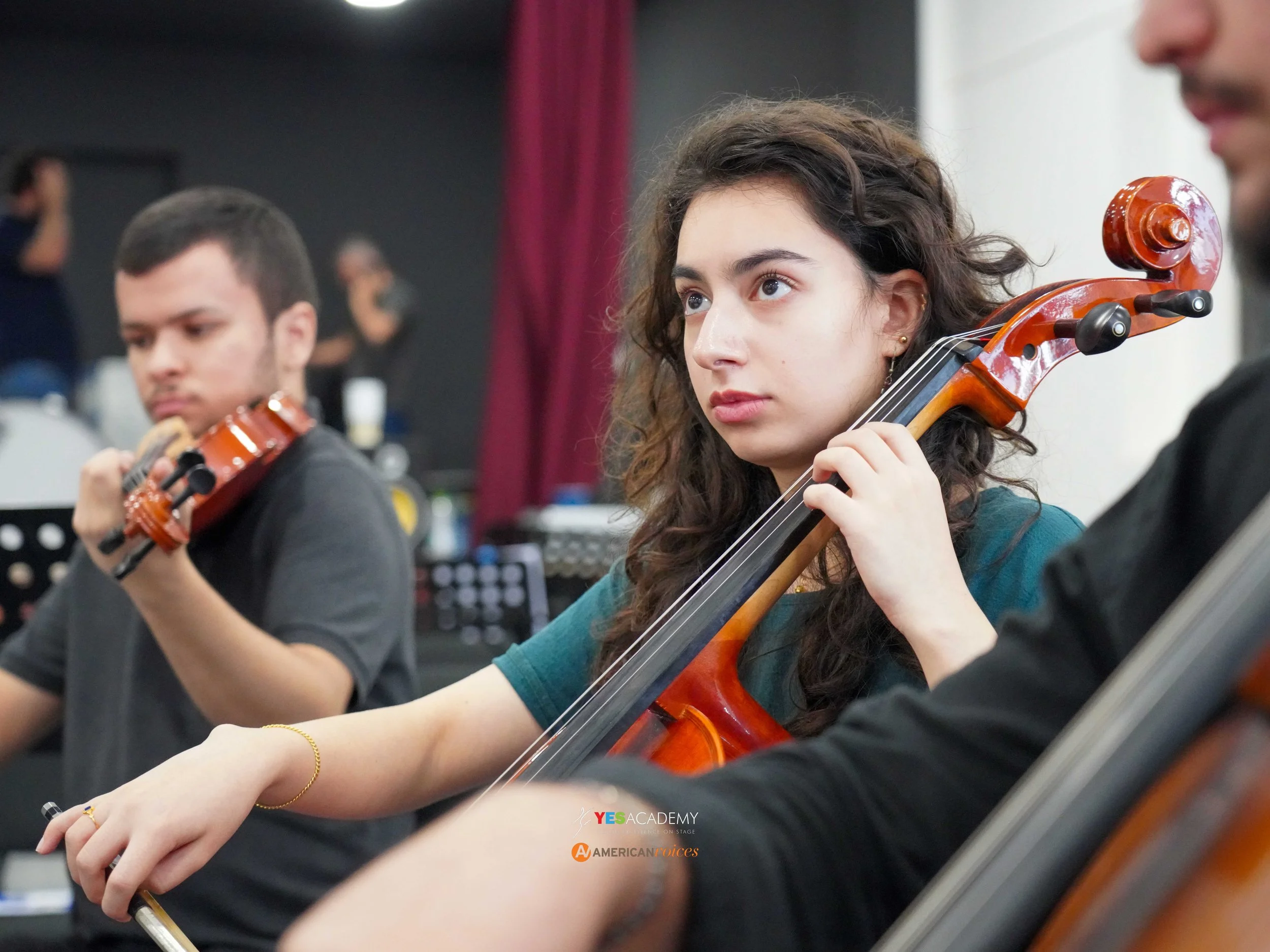 Cellos Close-up Orch.jpg