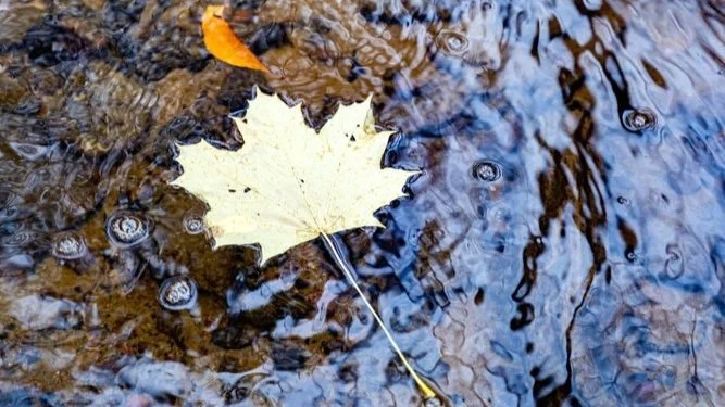 Ten Minutes of Meditation.                                              Feel the Change.