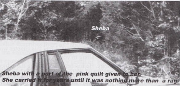 sheba-with-blanket.jpg