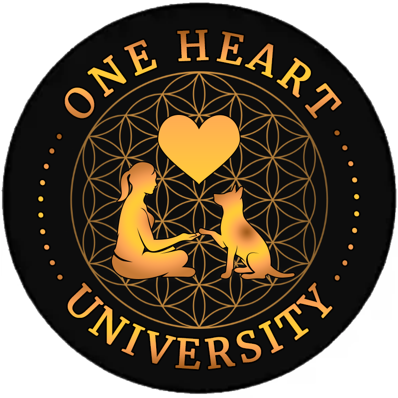 One Heart University
