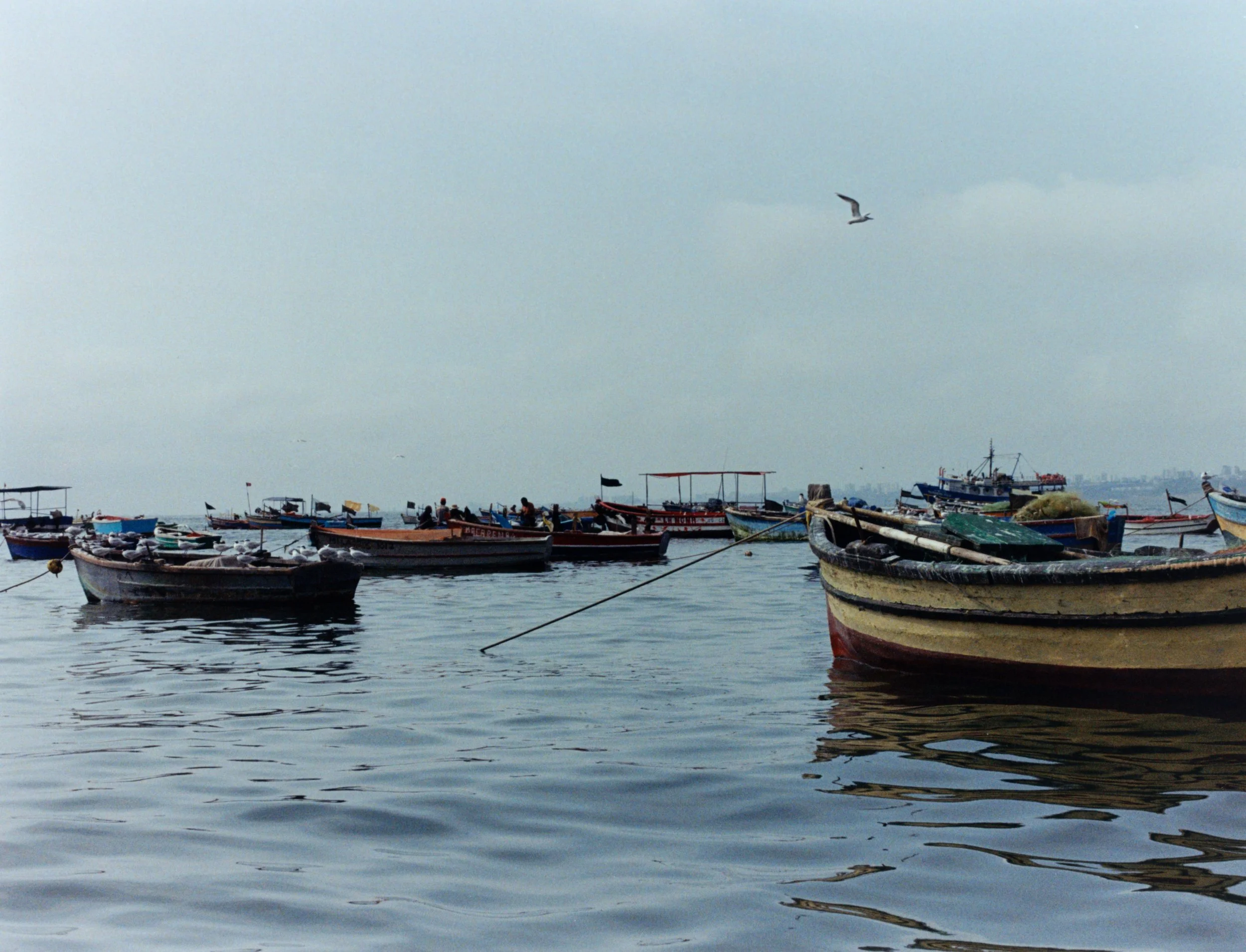 peru1small.jpg