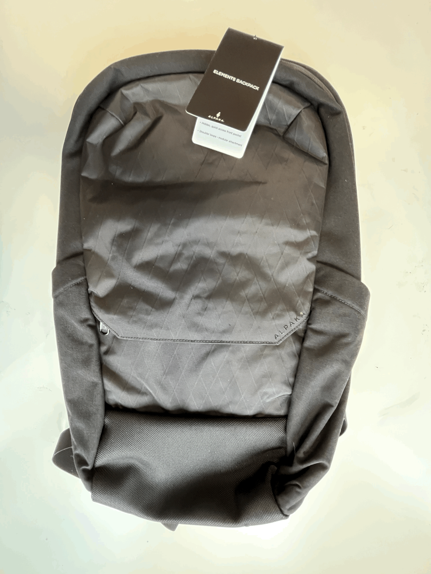 Black Vegan Leather Gold Hardware Backpack - Elements Unleashed