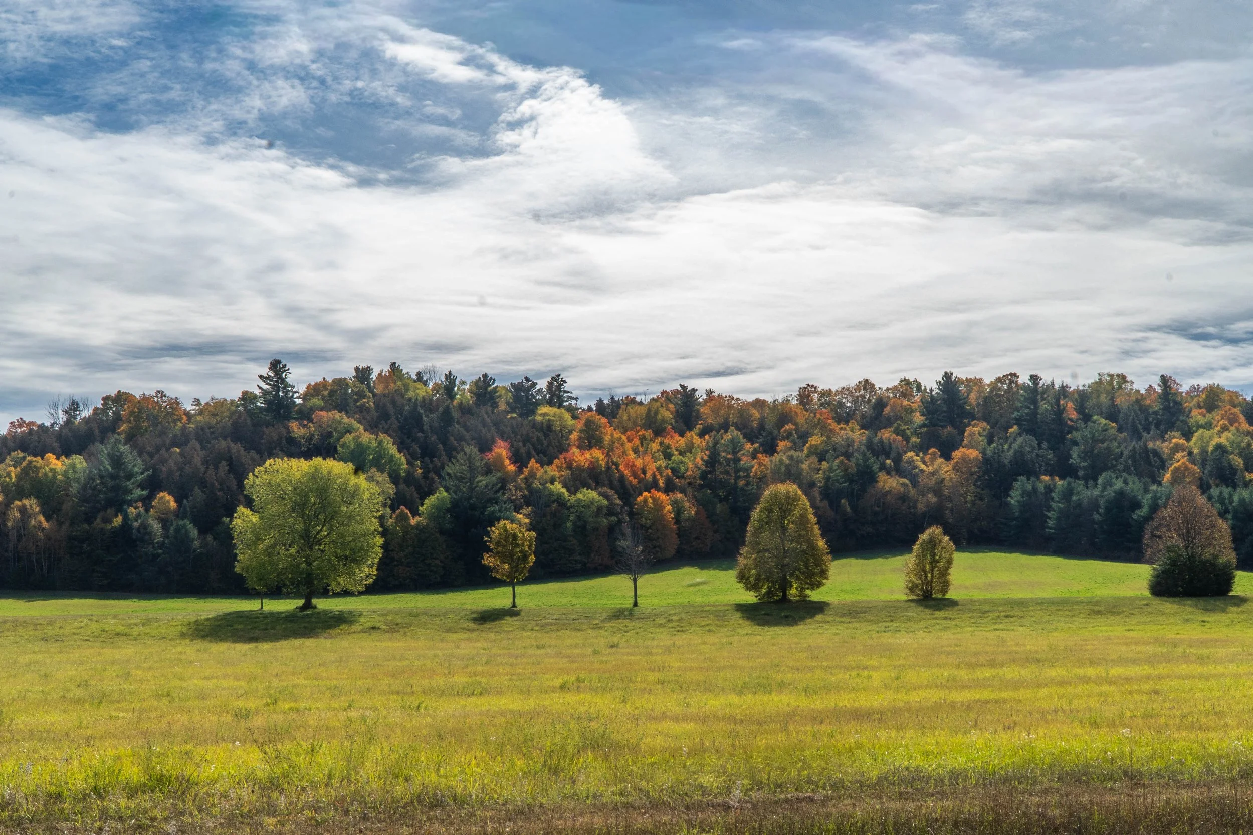 DSC01046-EDIT.jpg