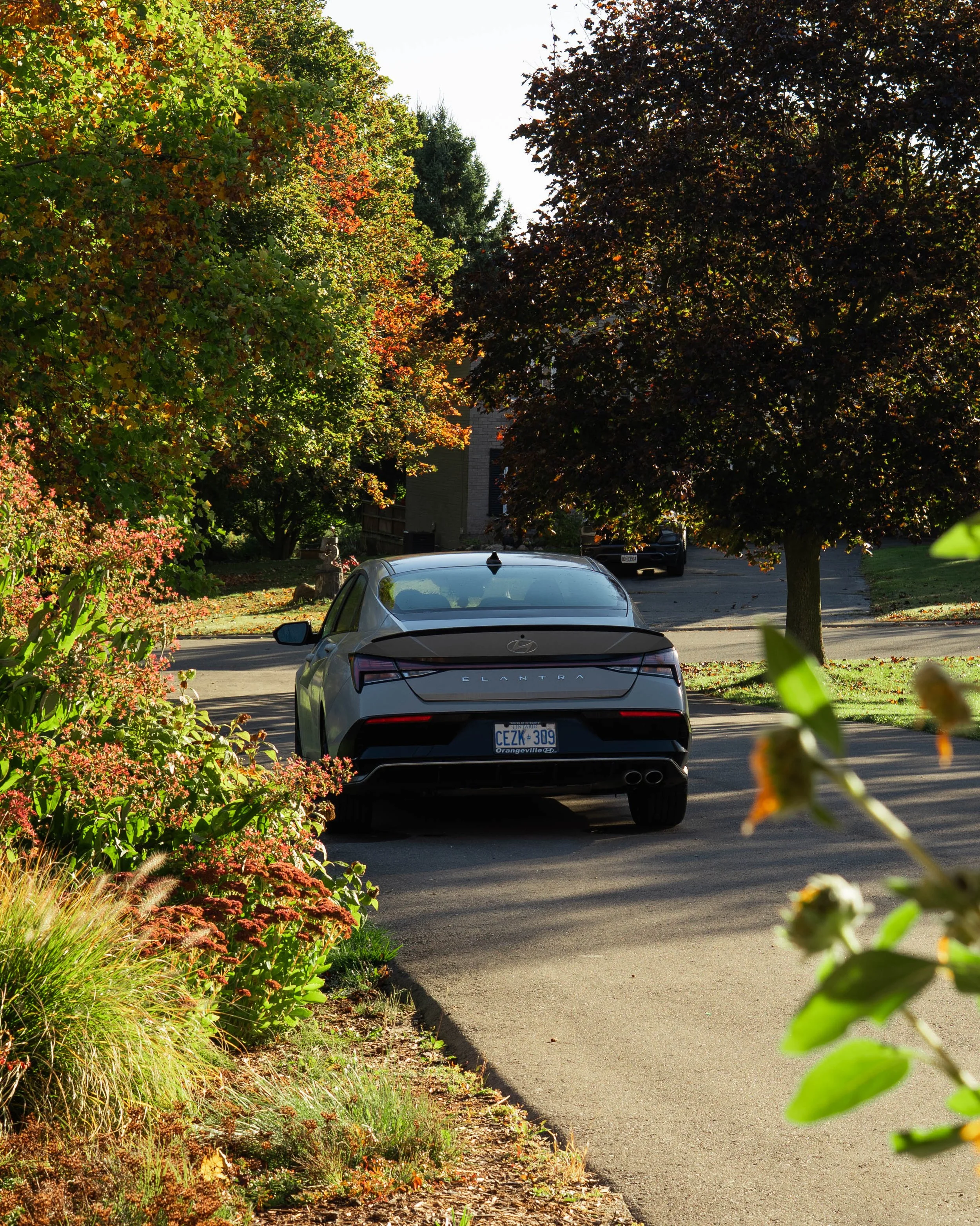 DSC01003-EDIT.jpg
