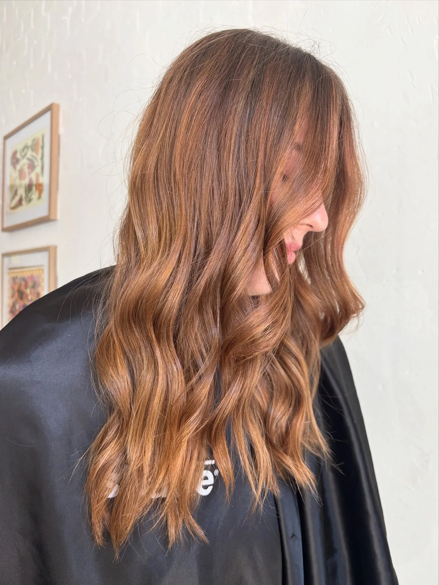 Peach Bronde 😍🍑✨

See you tomorrow for the full transformation 
 
Book your appointment today - link in bio or DM 

#peachbrunette #bronde #HawthornHair  #MelbourneSalon  #salon35018  #HealthyHair  #BrunetteGoals  #LowMaintenanceColour  #hairtransf