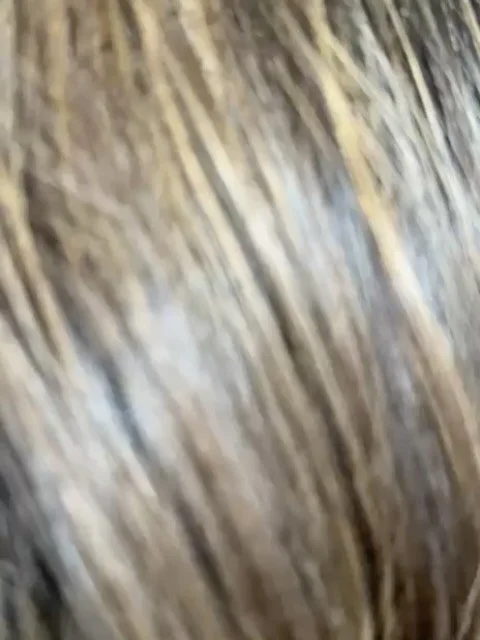 Stunning brunette with subtle highlights 🤎🍂

DM or click the link in bio to book in

📍Hawthorn, Melbourne

#salon35018 #natural #hair #darkbrown #chocolatebrown #summerhair #haircare #haircolour #haircut #hairtransformation #hairrefresh #hairmelbo