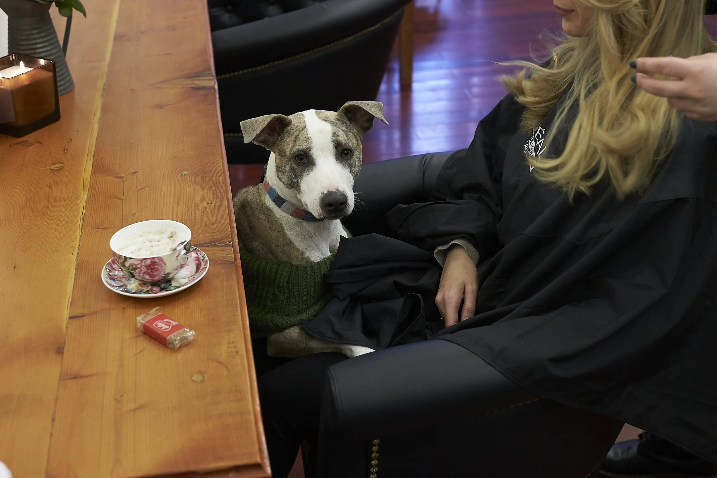 Hairdressers Hawthorn Salon 35018