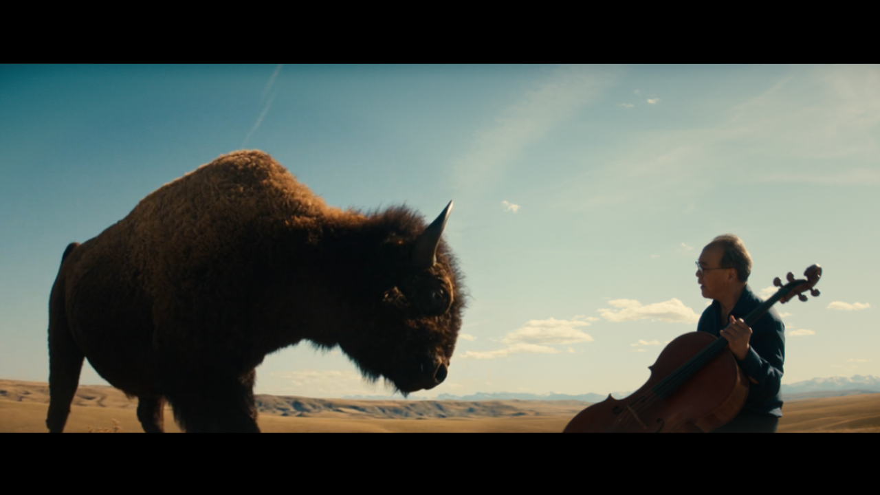 IINNIIWA: THE BLACKFEET BUFFALO STORY (2026)