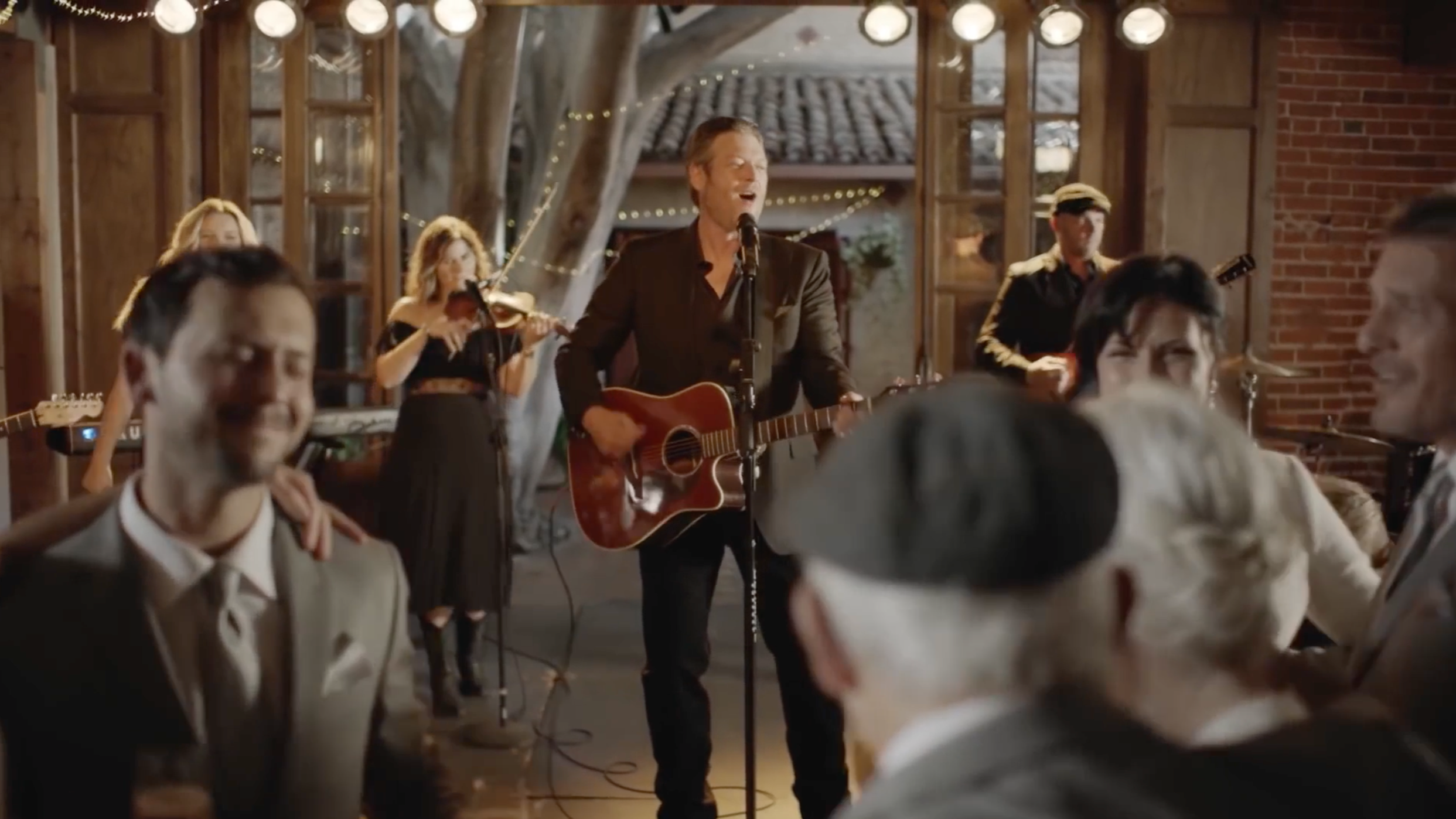 Blake Shelton - I'll Name The Dogs