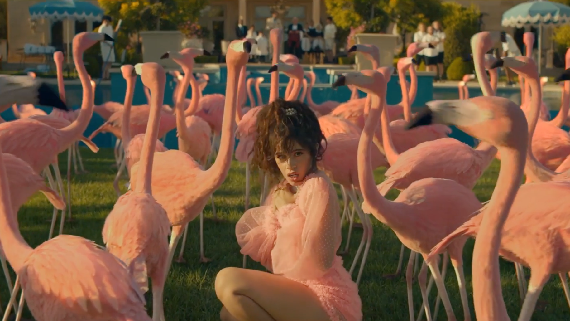 Camila Cabello - Liar