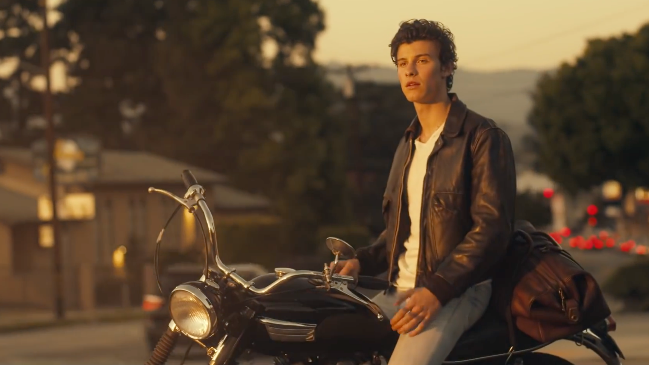 Shawn Mendes, Camila Cabello - Señorita