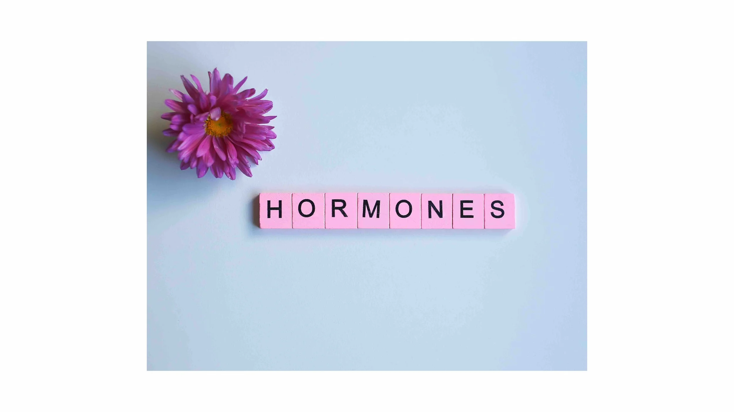 The Basics of a Hormonal Cycle