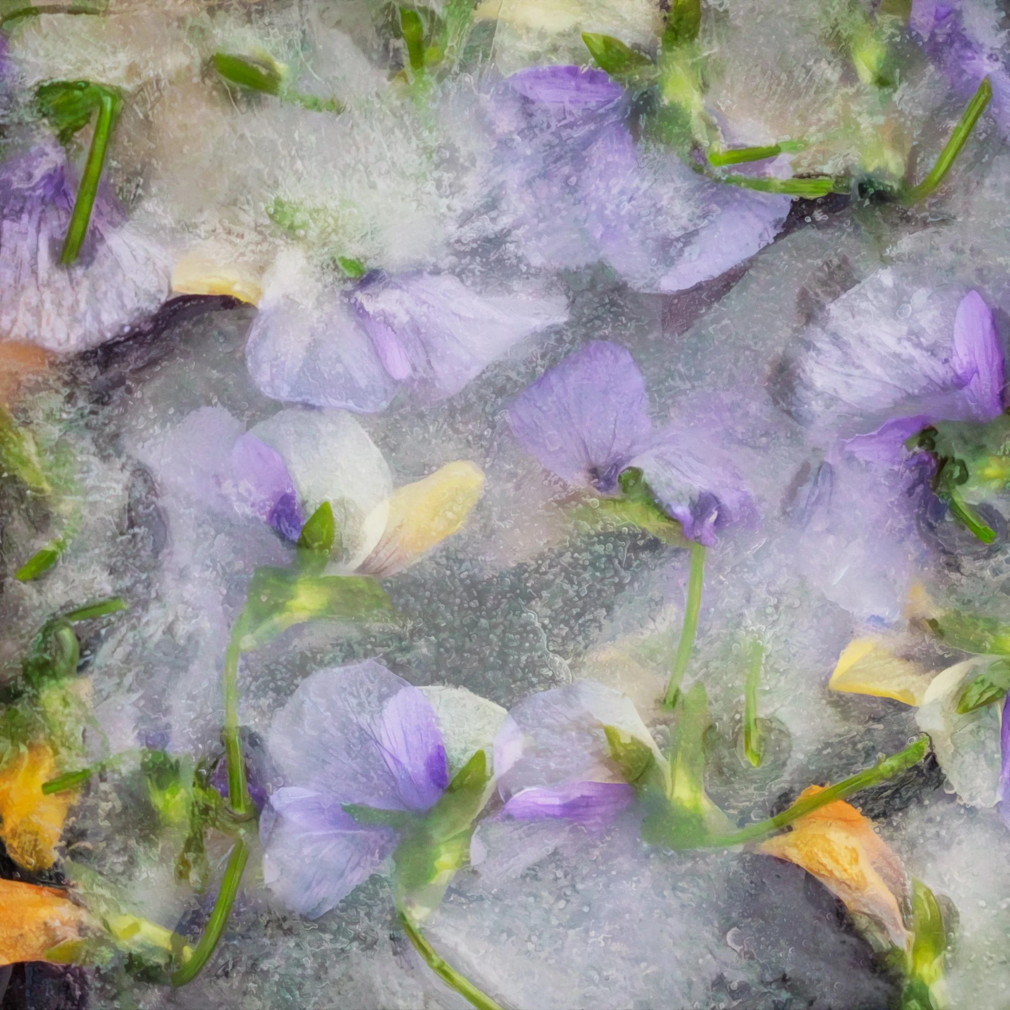 Close-up of purple flower petals with green stems and yellow accents, watercolor or painterly style.