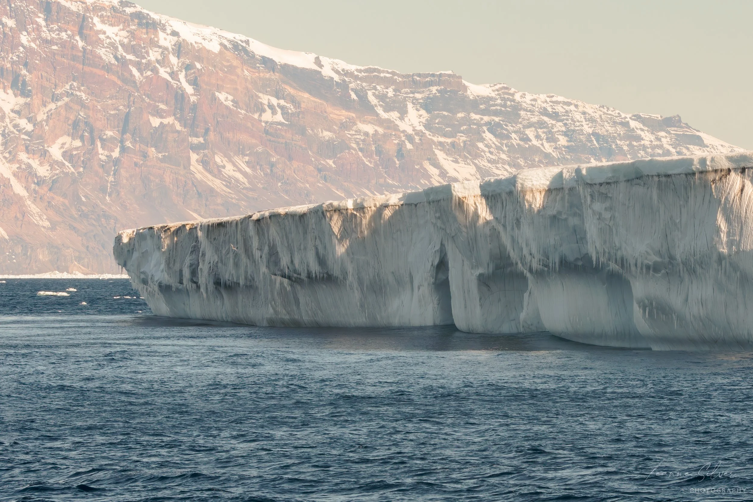 4_28012023_Antarctica Day 6_257-Edit-Edit.jpg
