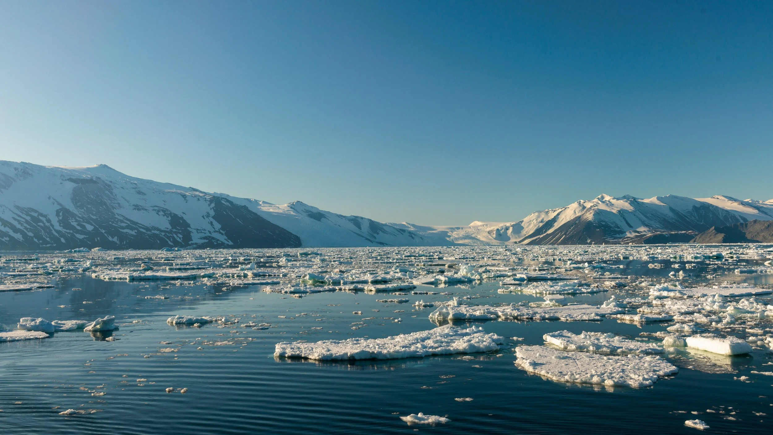 60_04022023_Robertson Bay_64.jpg