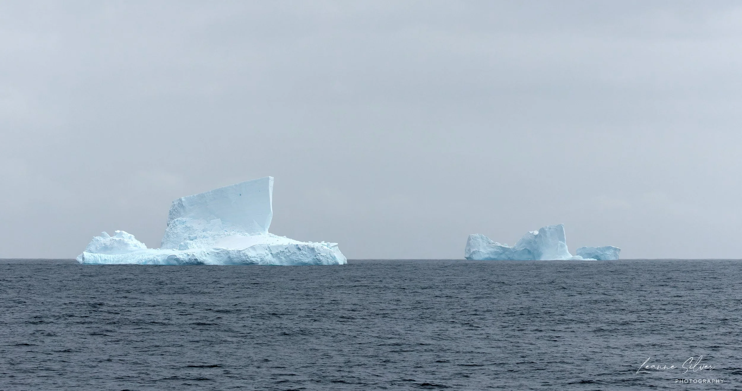 2.1_27012023_Antarctica Day 5_93-CR3_DxO_DeepPRIME-Edit.jpg