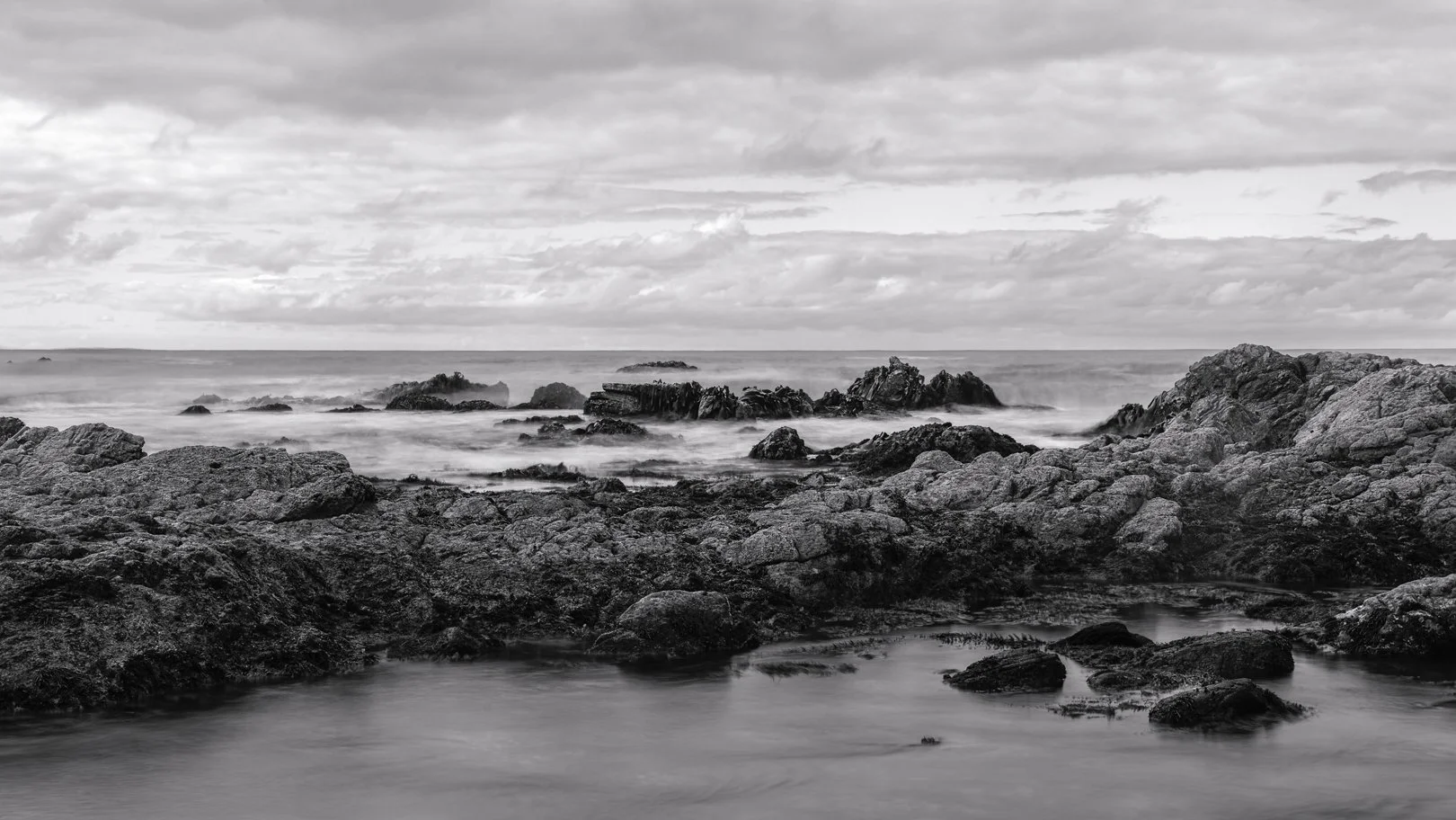 11_20240407-07042024_Wairarapa_162-CR3-Edit_black and white.jpg