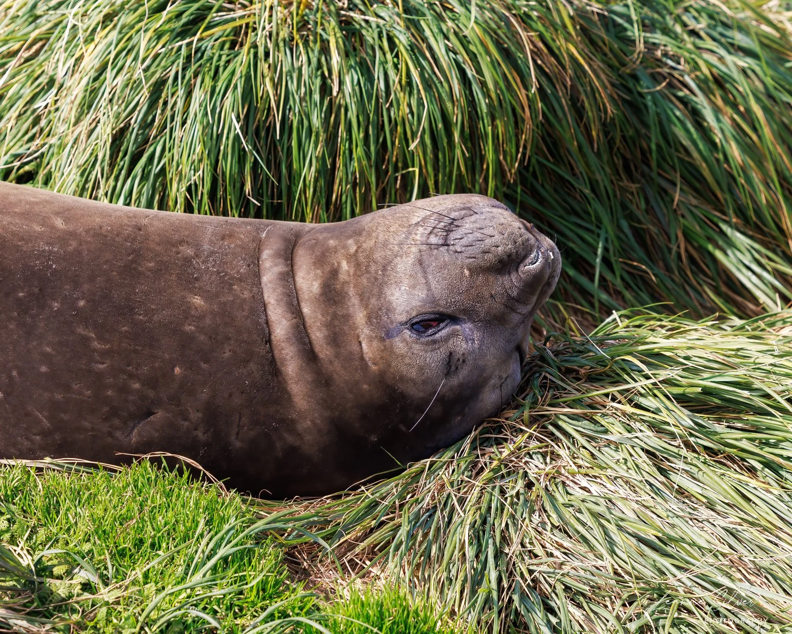 78_1022023_Antarctica Day 19_10-Edit-Edit.jpg
