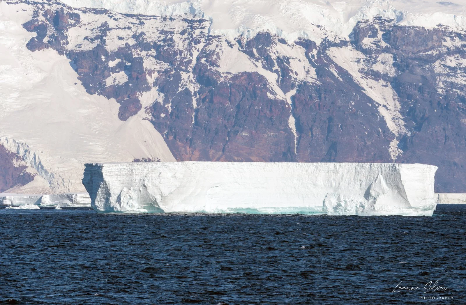 6_28012023_Antarctica Day 6_338-CR3_DxO_DeepPRIME-Edit.jpg