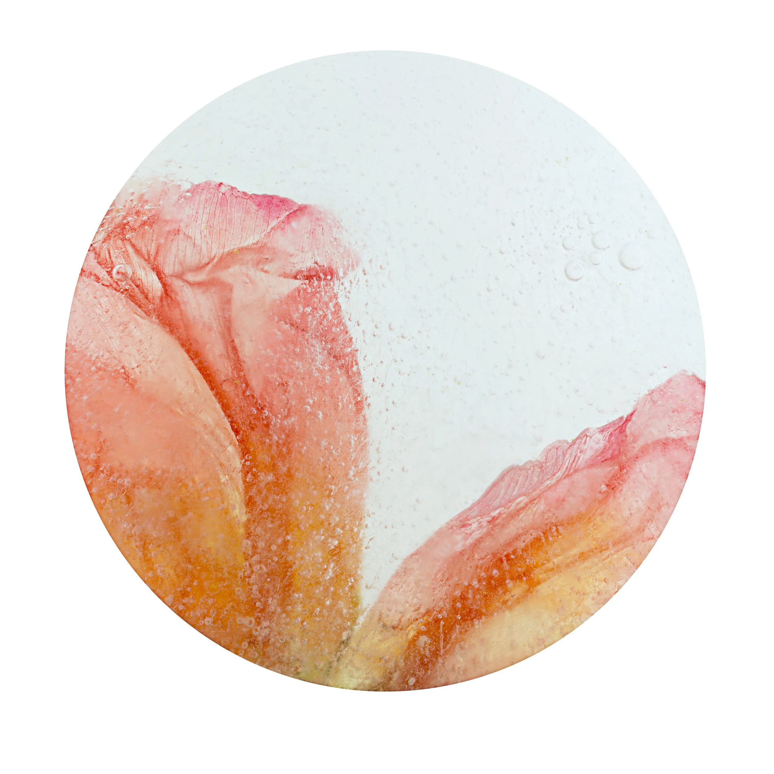 Close-up of a round, textured surface featuring shades of white, pink, and orange.