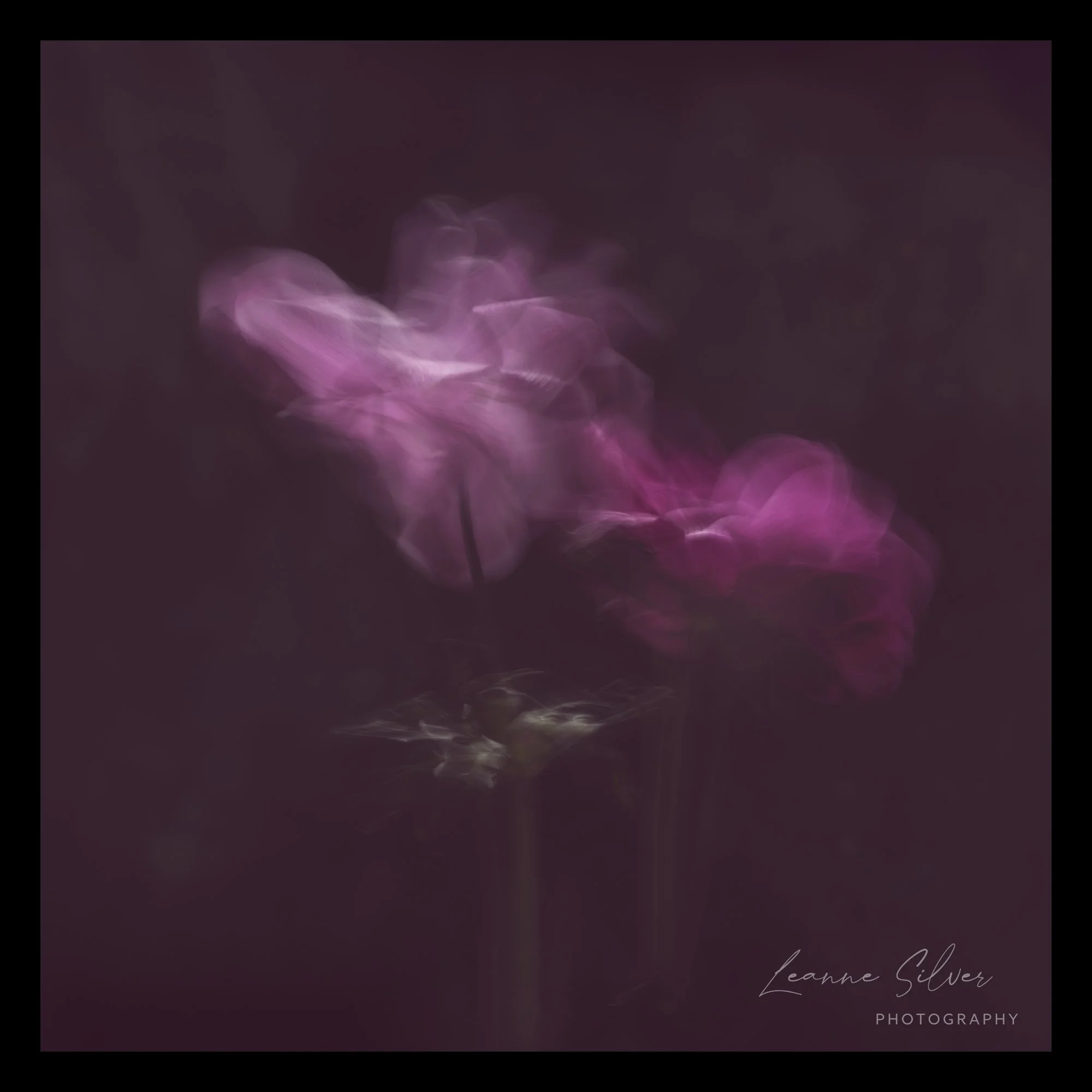 Abstract photo with purple and white bokeh lights on dark background, signature text in bottom right corner.