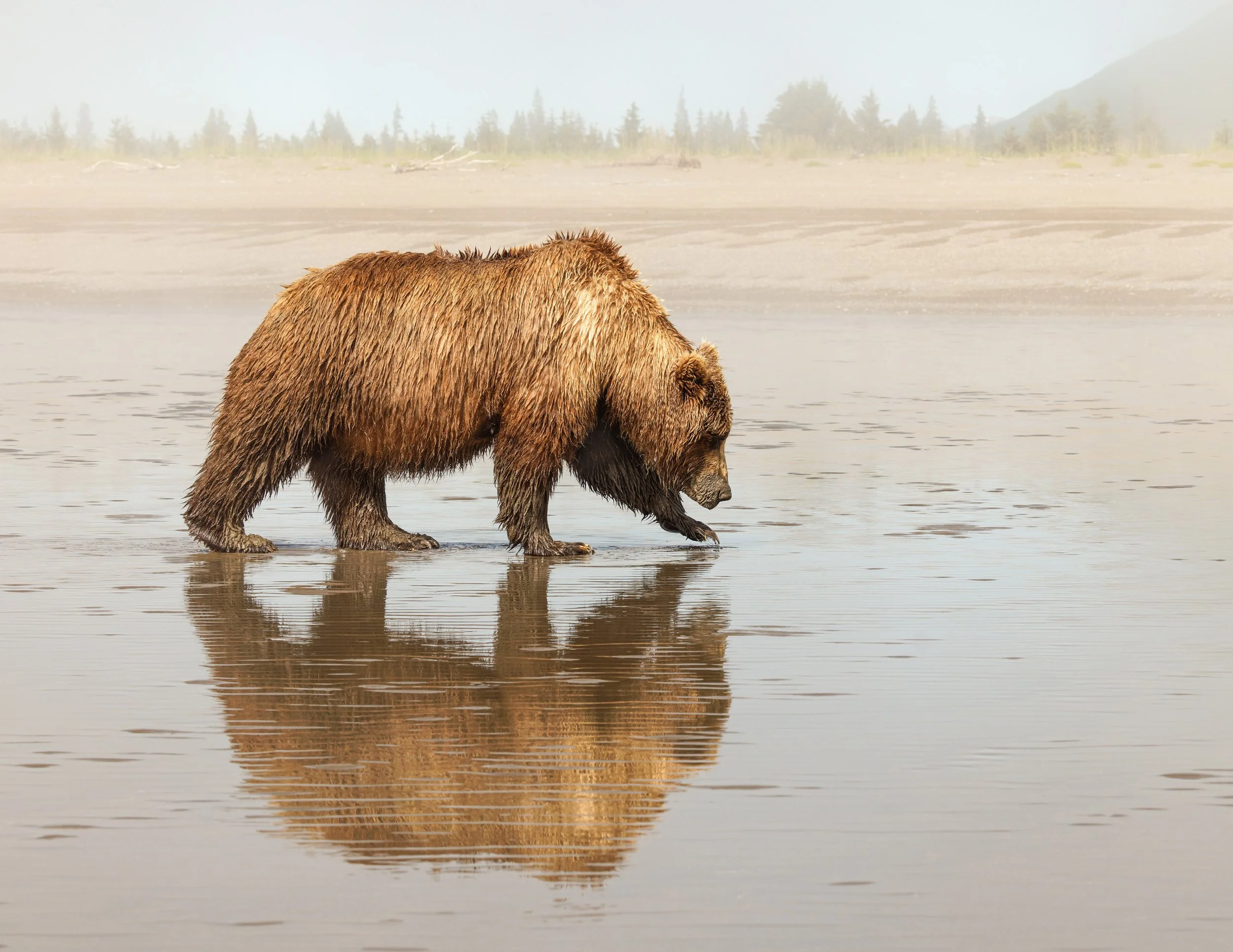 Alaska