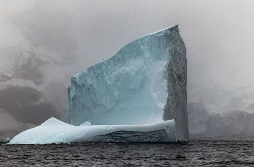 69_Antarctic-Giant.jpg
