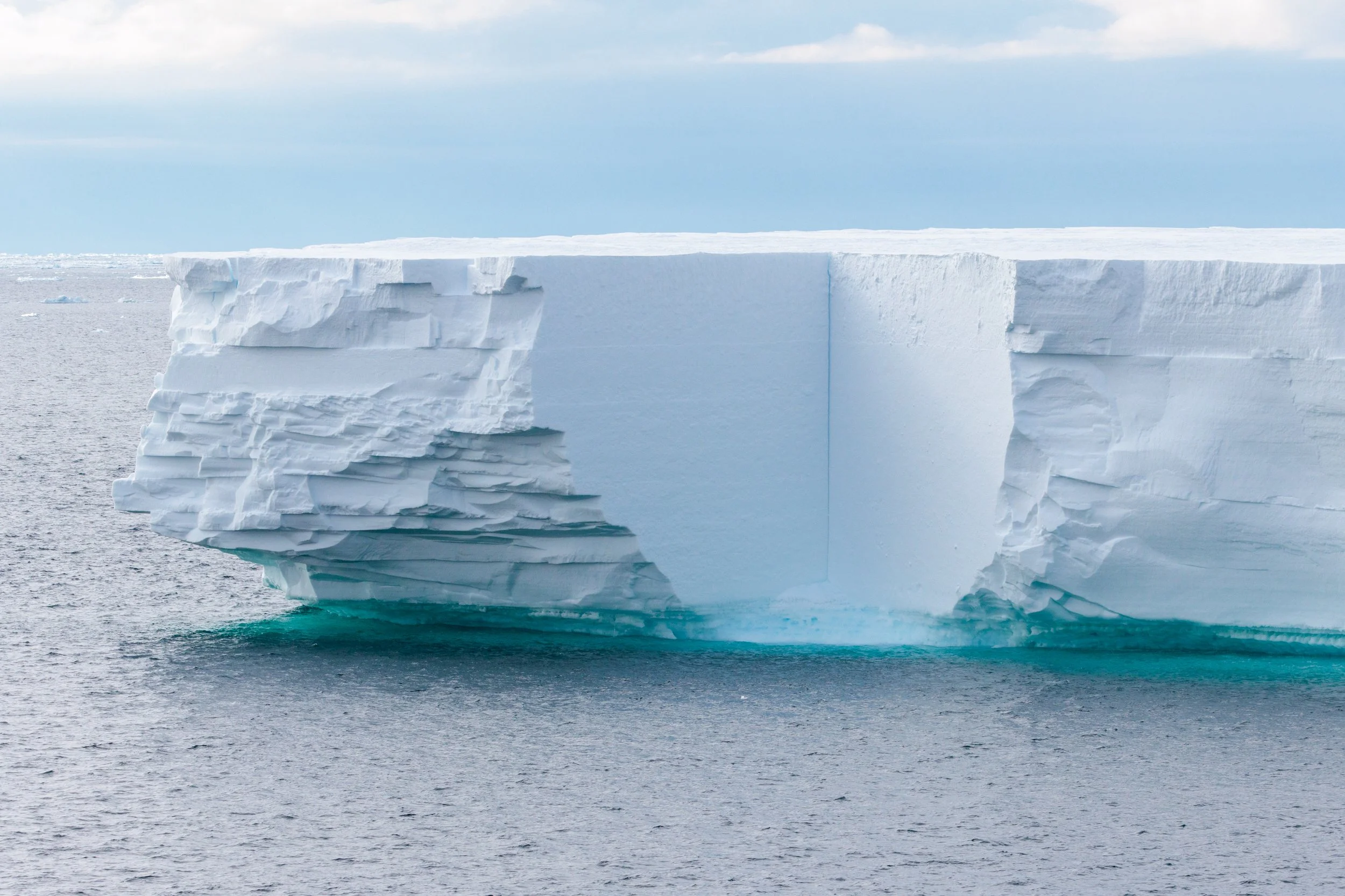 28_01022023_Orca and Iceberg_43.jpg