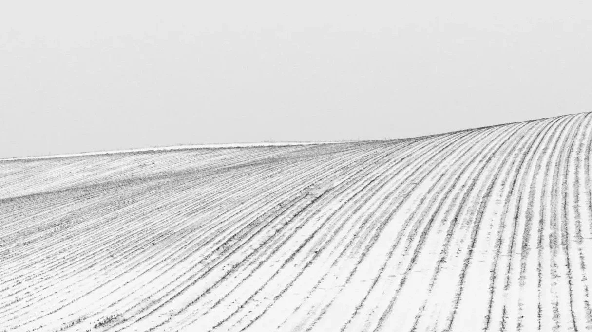 Snow-covered farmland with parallel lines and a clear sky.
