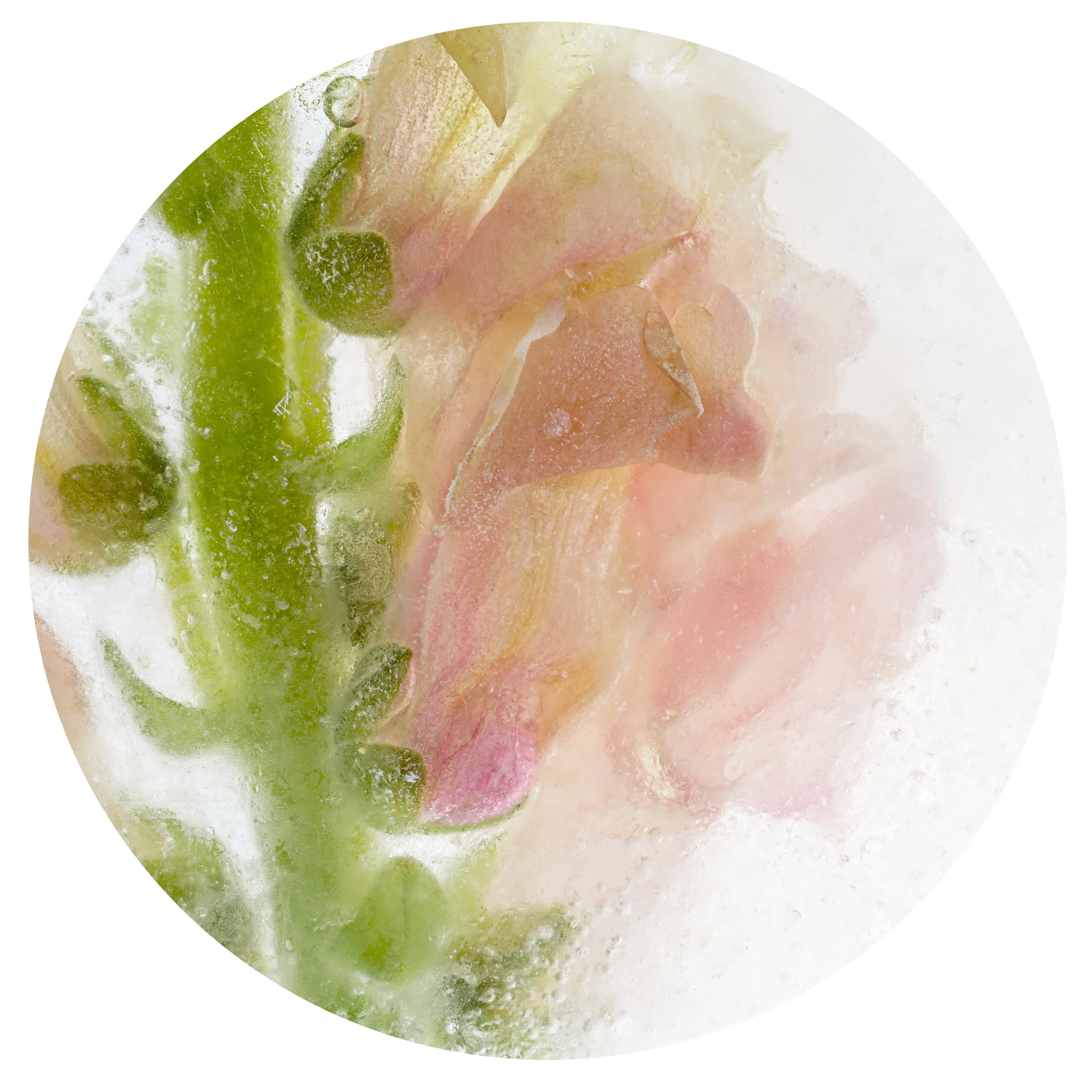 Close-up of assorted sour gummy candies, including green lime, pink strawberry, and yellow lemon flavors, covered in a light coating of sugar.