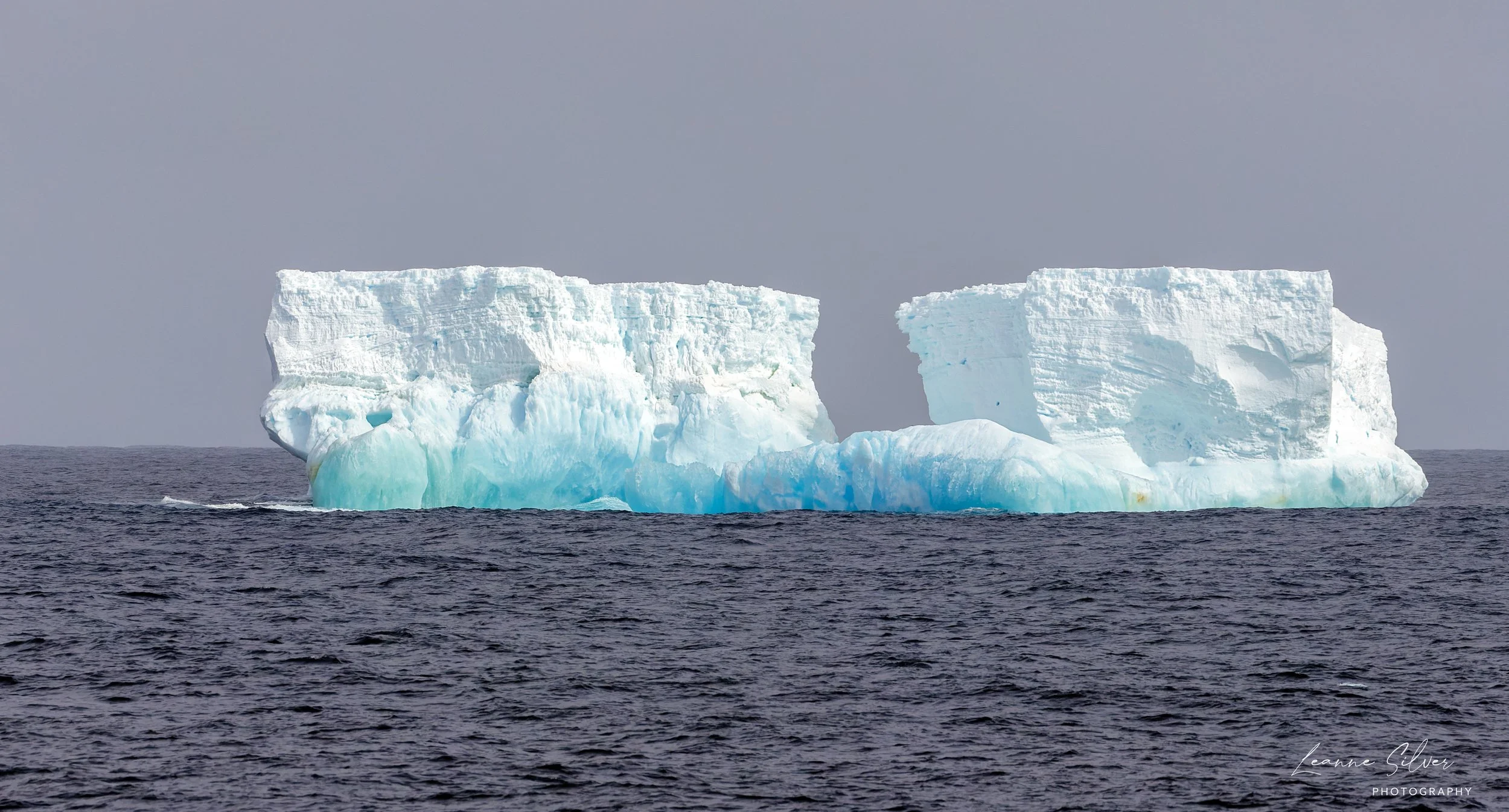 2_27012023_Antarctica Day 5_71-CR3_DxO_DeepPRIME-Edit.jpg