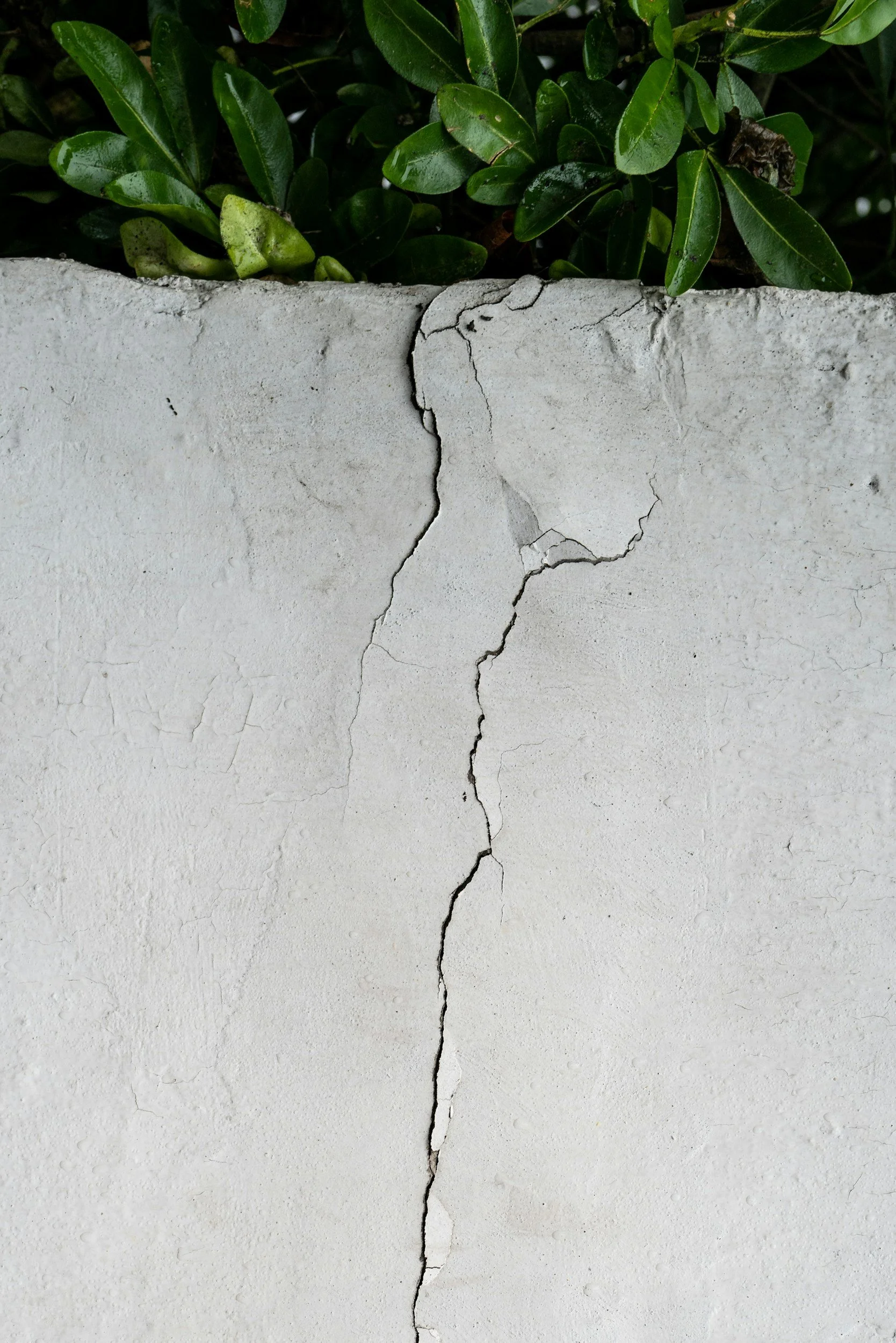 cracked concrete