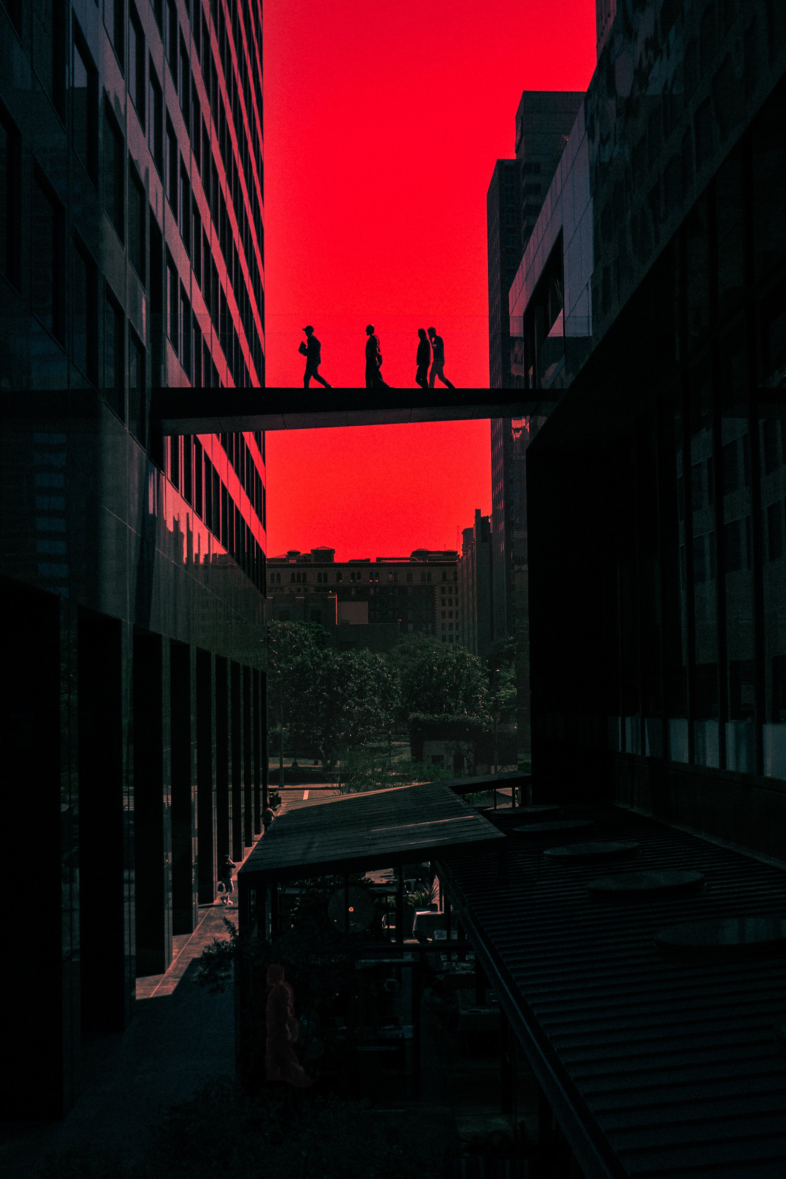 RedSector-16x24.jpg