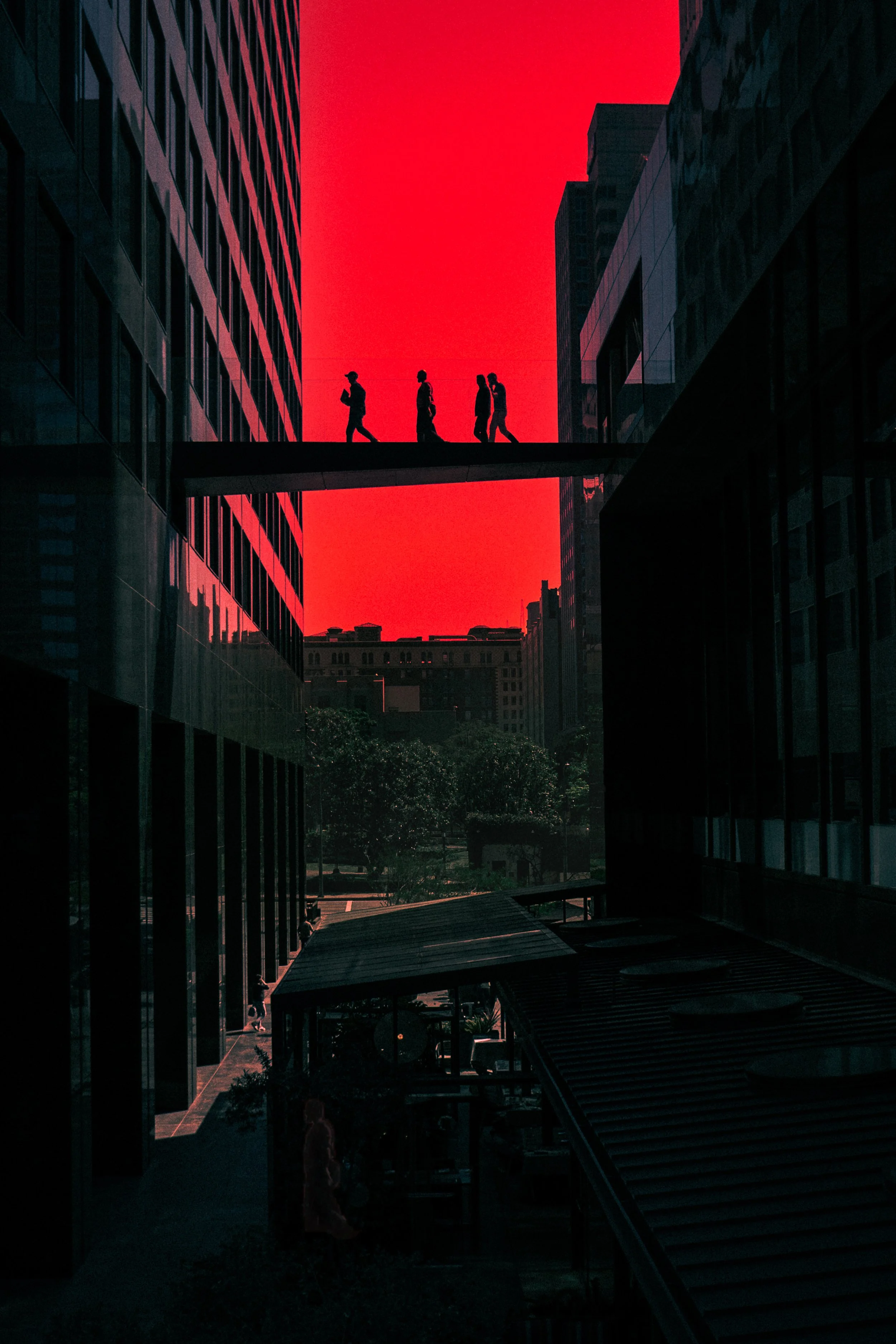 RedSector-16x24.jpg