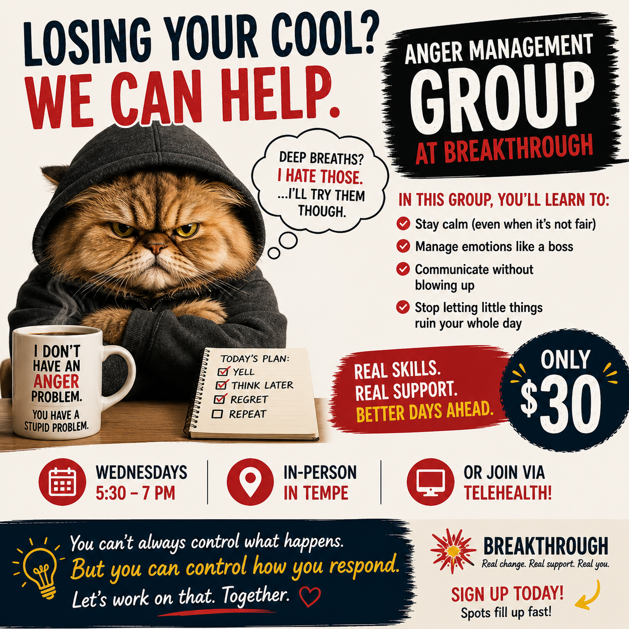 A promotional flyer for an anger management group featuring an angry-looking cat wearing a hoodie. The flyer includes details about the group, such as schedule, location, cost, and what participants will learn, with motivational messages and imagery of a coffee mug and a notepad.