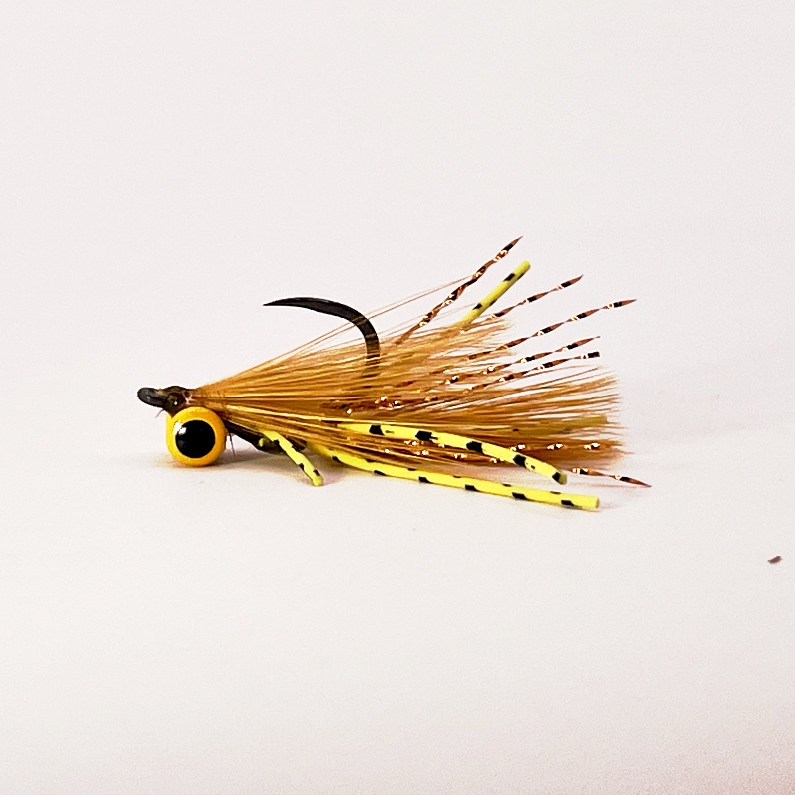 Fly 002