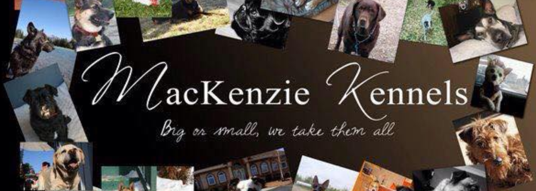 mackenzie-kennels_orig.png