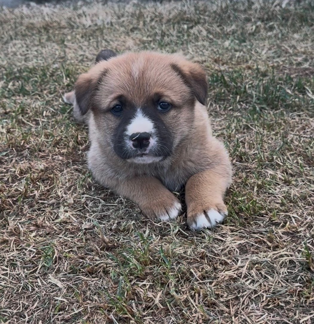 Winnie.jpeg